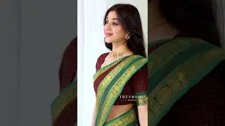 Deep Coffee Brown Checked Chettinad Cotton Saree | Shop @ www.thenmozhidesigns.com
