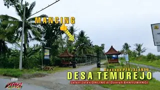 Desa TEMUREJO - Pelebaran Bahu Jalan, Apakah bakal MULUS LEBAR LANCAR ?