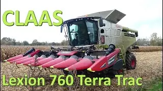 Claas Lexion 760 Terra Trac bei der Ernte von Körnermais - harvesting grain maize