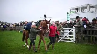 Il Pino pre race at Chaddesley Corbett