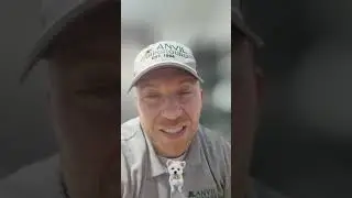 Anvil guest reviews,  insider look at a log cabin, heat pool news!