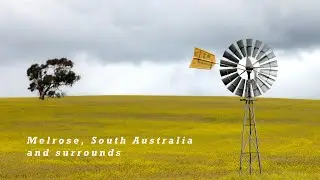 Melrose, South Australia and surrounds