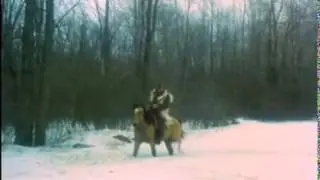 Ilsa the Tigress of Siberia (1977)