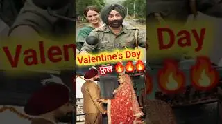 Border 2 Day 23 Box Office Collection Report || Border 2 Movie Collection || Sunny Deol Movie ||