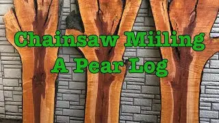Chainsaw Milling a Pear Log