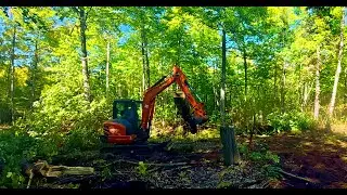 UNCUT - Kubota KX040-4 Excavator &ndash; Stump Removal & Tree Clearing - Road Building day 15