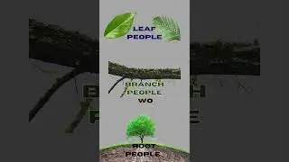 Three Kinds Of People : Leaf, Branch and Root.