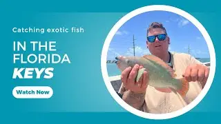 florida keys bridge fishing |day 3 of florida keys adventure|