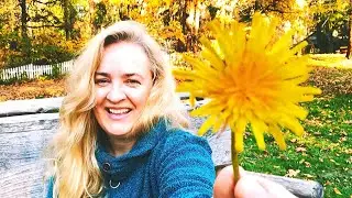 New Moon October 2019 & Halloween 🌠Clearing Transmission Codes