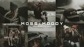 Moss & Moody Lightroom Presets Free Download