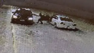 Children returned minutes after car they were in was stolen