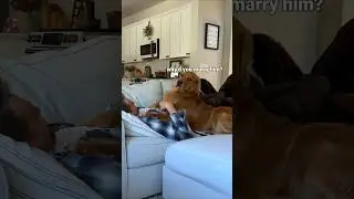 Pranking my dog with a fart machine 🌬️🤢