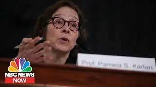 Watch Pamela Karlan&rsquo;s Impeachment Hearing Testimony In 3 Minutes | NBC News Now