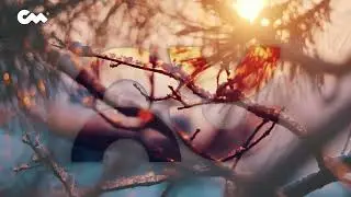 WINTER VELVET LOUNGE &mdash; 1-hour LUXURY CHILL MIX