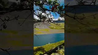&ldquo;Peaceful Wales Reservoir 🌿 | Nature&rsquo;s Perfect Escape 🌊