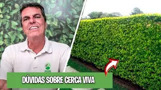 DICAS  SOBRE CERCA VIVA