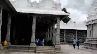 Maa Palle charitable trust