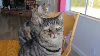 Buster and Leo 