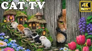 🔴 Cat TV for Cats 📺 Real Mice Running & Hiding | Ultimate Stress Relief Video for Indoor Cats