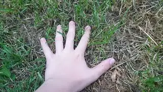 Hypixel players when Hypixel is down