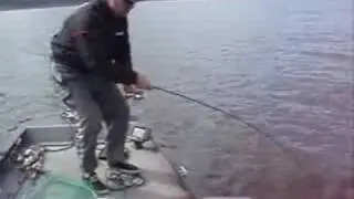 Australian Bass Mix