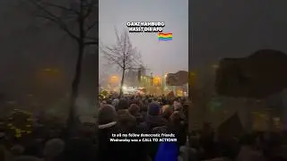 FCK Merz FCK AFD #fckafd #fckcdu #cdu #afd #shorts #demo #demonstration #fascism #🏳️&zwj;🌈  #ytshorts