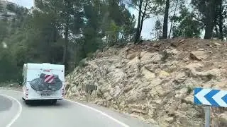Vamos de Montanejos a Puebla de Arenoso