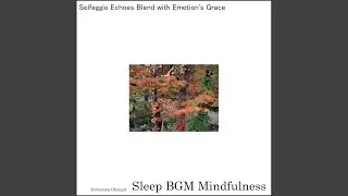 Finding Balance in the Rhythms of Life and Sleep
