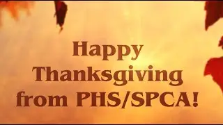 Happy Thanksgiving from PHS/SPCA!