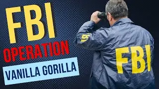 Operation Vanilla Gorilla