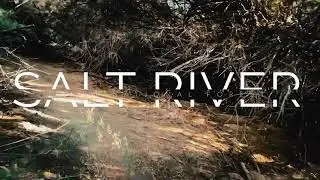 Restoring a Tamarisk Forest: A Three Year Journey on the Salt River