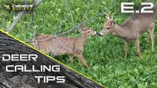 Deer Calling Tips : E.2 