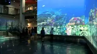 Queensland University of Technology - The Cube