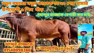 আব্দুর রাজ্জাক গিফারী বিগ বিগ সাইজের শাহীওয়াল ষাঁড় গরুগুলো কত দাম চায় #cow #unfrezzmyaccount 