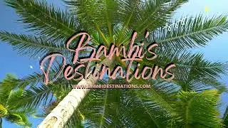 Unforgettable Travel Adventures: Plan Your Dream Getaway with Bambi's Destinations