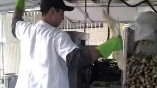 Jugo de lim&oacute;n con ca&ntilde;a
