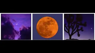 Aries May 2015 Forecast