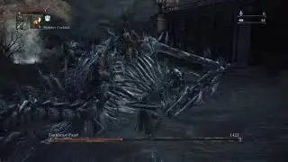 Черное Чудовище Паарл / Darkbeast Paarl | BL4 Casual Run