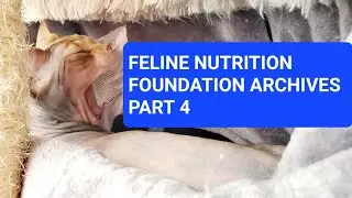 Obligate Carnivores: Learning about a raw diet for cats. Part 4