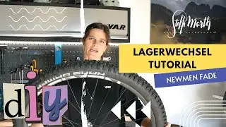 Lagerwechsel NEWMEN Fade