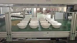 MFC1000，CUT IN MOLD，PS foam forming
