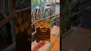 South Indian #MangoFeast in JP Nagar 📍Sasive #specialmenu #mangomenu