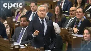 Question Period – February 2, 2026