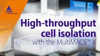 Automation meets cell separation: High-throughput cell isolation with the MultiMACS&trade; X