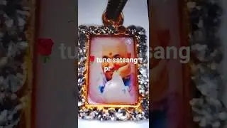 🌹tune satsang pe mujhko🌹 guruji 🌹 song singing and written by me #shortvideo