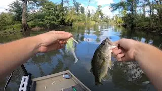 Upper Chipola river bass fishing!