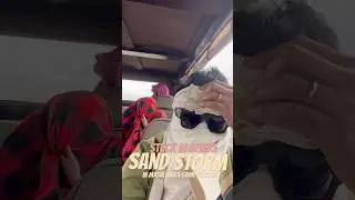 Severe Sand Storm in Masai Mara #dangerous #stuck #wildlifeparadise #masaimara