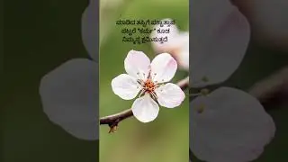 Self realization ✨🌿  #Karma #2025 #inner healing #spiritual message #positive vibes