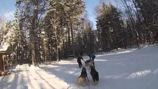 Winterdance Dog Sledding 2016
