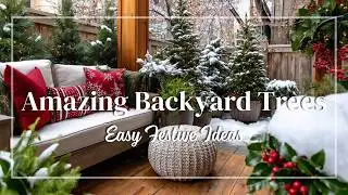 Amazing Small Backyard Christmas Tree Displays | Festive Winter Landscaping You Can DIY Easily